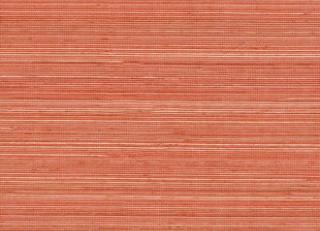 Фото - Обои Elitis Coiba - 398439>