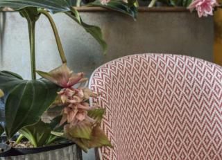 Фото - Ткани Brochier Regina - 414507>