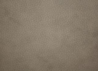 Фото - Ткани Alessandro Bini Eco leather - 438688>