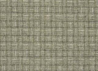 Фото - Ткани Moon Transitional - 521347>