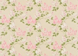 Фото - Ткани Sanderson Maycott Prints - 451770>