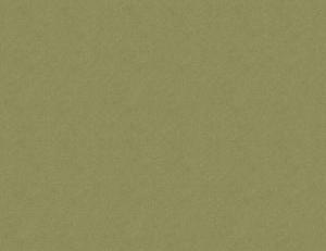 Фото - Ткани Ian Mankin Dyed Plains - 385515>