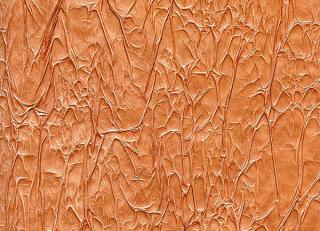 Фото - Обои Arlin Velawall - 342121>