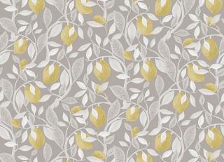 Фото - Обои Khroma Aquila - 594038>