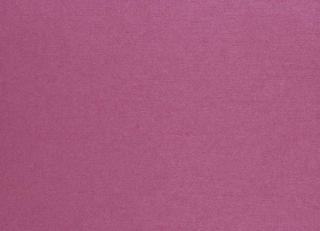 Фото - Обои Camengo Tamaris Wallpaper - 471209>