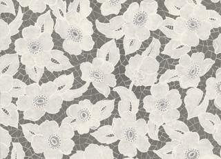 Фото - Обои Equipo DRT - 405550>