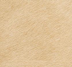 Фото - Обои Elitis Memoires - 179358>