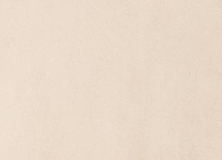 Фото - Ткани Foresti Home Collection Velluto Fantasy - 608540>