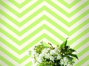 Фото - Обои Seabrook Tortuga - 434165>