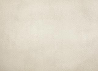 Фото - Обои Fromental Serigraphe - 319394>