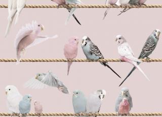 Фото - Обои Koziel Kids & teenagers - 323848>