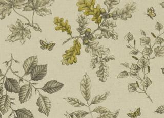 Фото - Ткани Clarke&Clarke Eden - 437213>