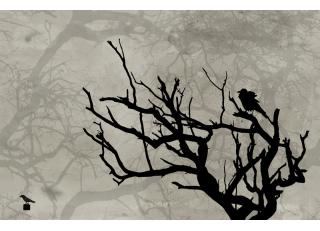 Фото - Обои Wall&Deco CODE 2014 CONTEMPORARY - 463712>