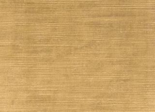 Фото - Ткани Clarke&Clarke Majestic Velvet - 296306>