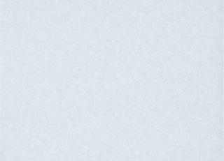 Фото - Обои Zoffany Prism Vinyls - 206217>