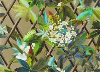 Фото - Обои Christian Lacroix Nouveaux Mondes - 320640>