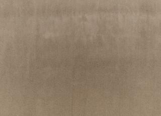 Фото - Ткани Zinc Drake - 565510>