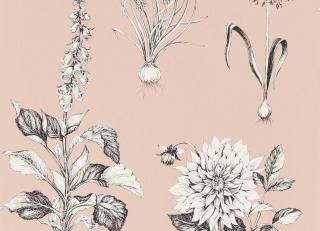 Фото - Обои Clarke&Clarke Secret Garden Wallpaper - 600179>