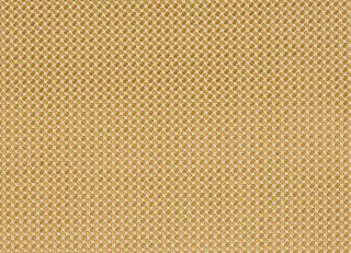 Фото - Ткани Manuel Canovas Java - 602551>