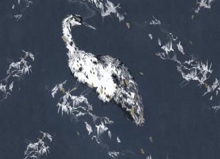 Фото - Обои Wall&Deco CODE 2019 CONTEMPORARY - 464901>