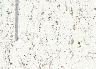 Фото - Обои Elitis Essence de liege - 509465>