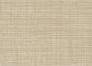 Фото - Обои Jannelli & Volpi JV800 Tierra - 546672>