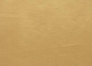 Фото - Ткани Clarke&Clarke Prima - 404419>