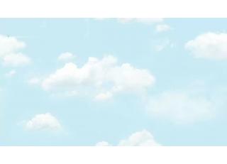 Фото - Обои Shinhan Natural  - 554960>