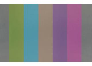 Фото - Ткани Designers Guild Cecilia - 284311>