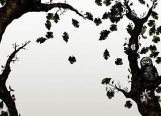 Фото - Обои Mr Perswall Creativity & Photo Art - 235044>