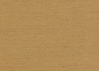 Фото - Обои Nobilis Seta - 625831>