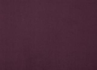 Фото - Ткани Дом CARO Plushery - 533232>