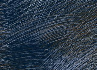 Фото - Обои Jannelli & Volpi Marimekko 6 - 568866>