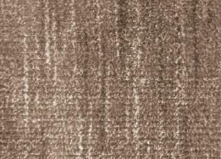 Фото - Ткани Foresti Home Collection Velluto Supreme - 563630>