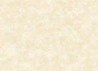 Фото - Обои Paper Partnership Patterdale - 485505>