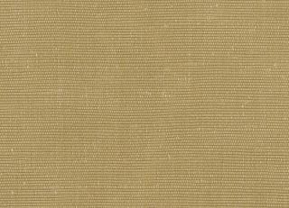 Фото - Ткани Rubelli Carlo - 488179>