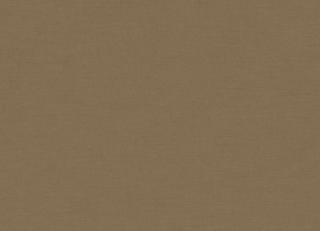 Фото - Ткани Sunbrella XL Satin - 449728>