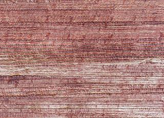 Фото - Обои Elitis Opening - 440605>