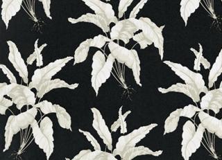 Фото - Обои Equipo DRT Senso - 405138>