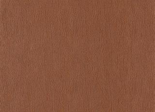 Фото - Обои Casamance Malanga - 395216>