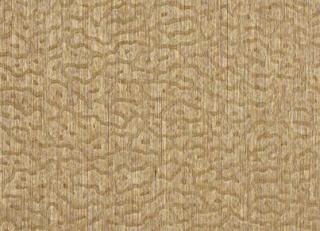 Фото - Обои Pierre Frey Fox Trot - 311549>