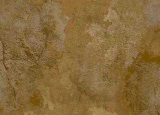 Фото - Обои Parato Cristiana Masi Contract - 514793>