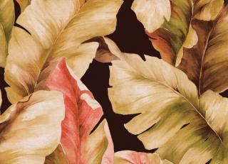 Фото - Обои Studio Eight Trinidad - 454776>