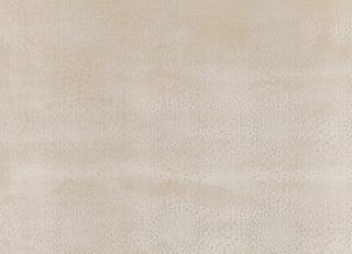 Фото - Ткани Villa Nova Folium - 268927>