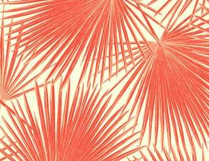 Фото - Обои Seabrook Tortuga - 434149>