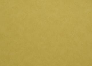 Фото - Обои Caselio Romarin - 231437>