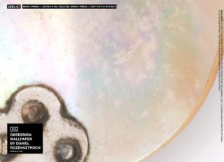 Фото - Обои для стен Nlxl - 340519>