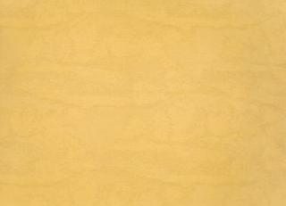 Фото - Обои Zimmer + Rohde Sanctuary - 350882>