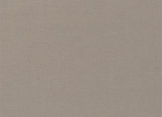 Фото - Ткани Designers Guild Aquarelle Fr Voile - 261212>