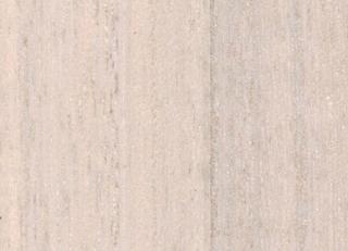 Фото - Обои Yana Svetlova Paulownia - 572458>